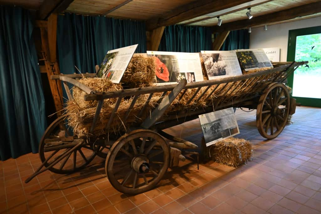Historischer Leiterwagen - Ausstellung: "Vom Acker und seinen Kräutern" im Schafstall des VNP Heidemuseums Emhoff, Wilsede